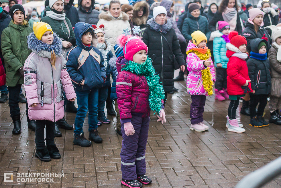 шествие дедов морозов