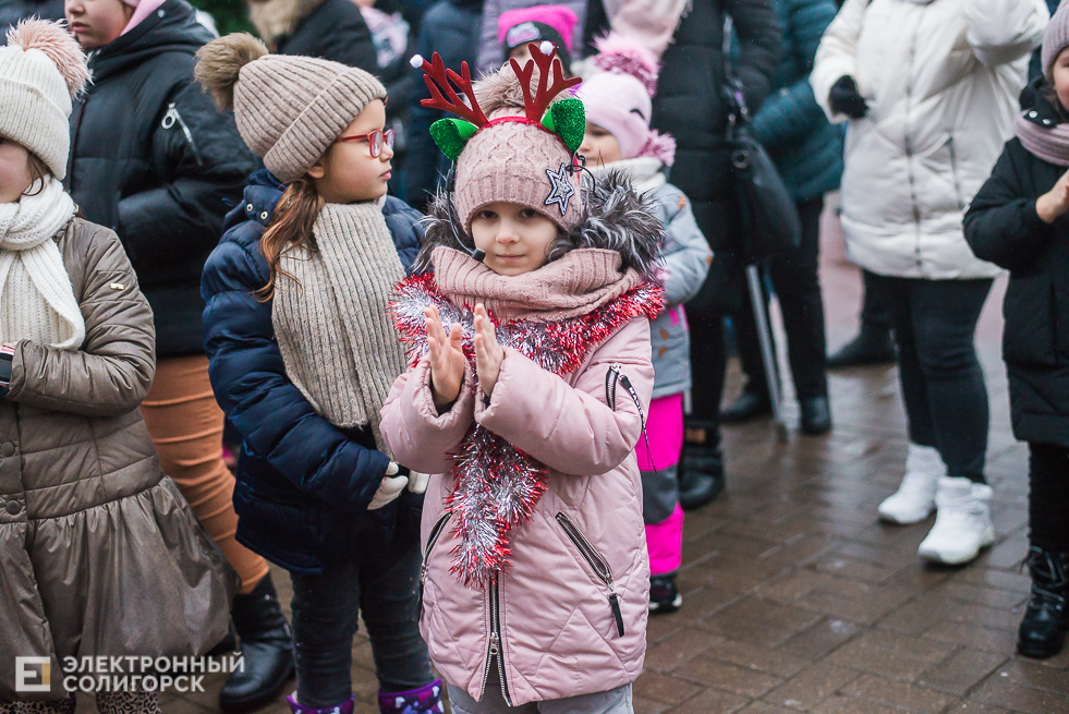 шествие дедов морозов