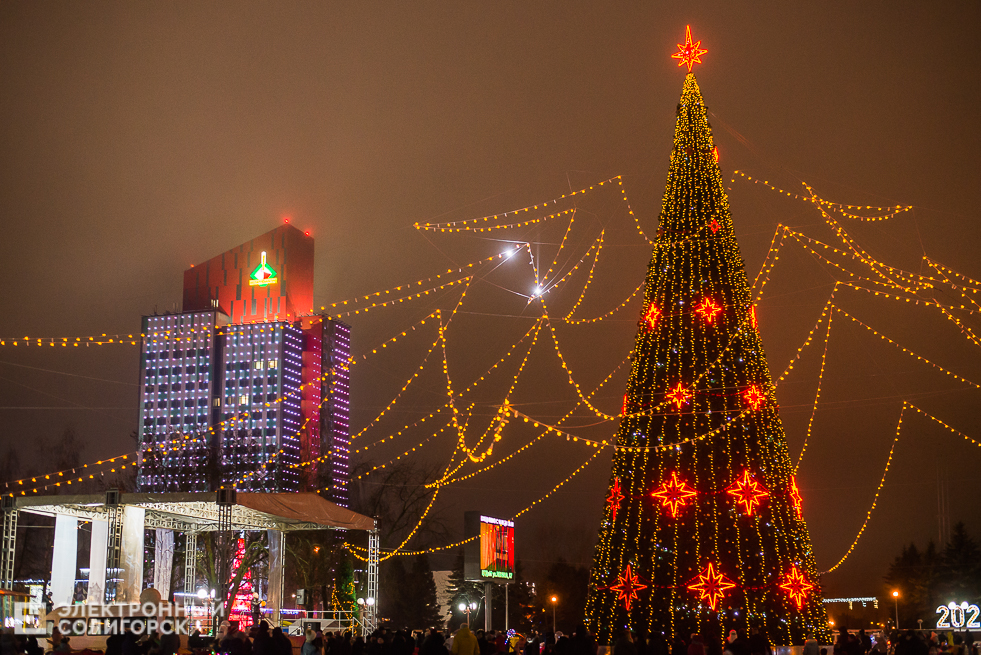 шествие дедов морозов