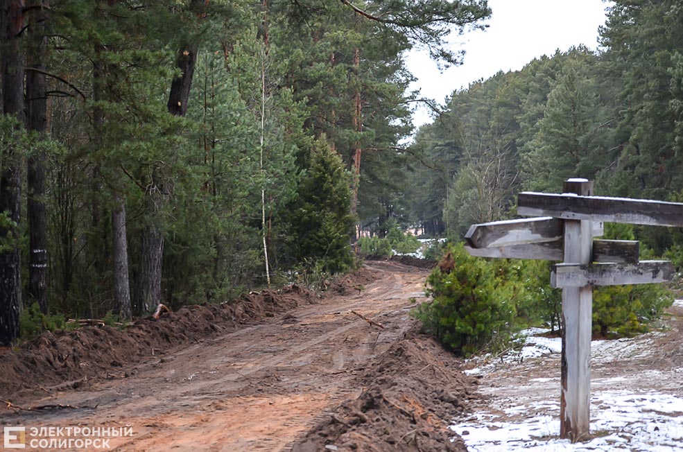 Тропа здоровья в Солигорске