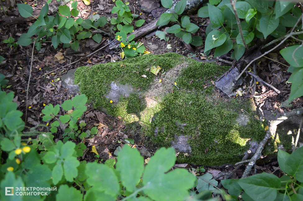 Panskoe kladbosche 1