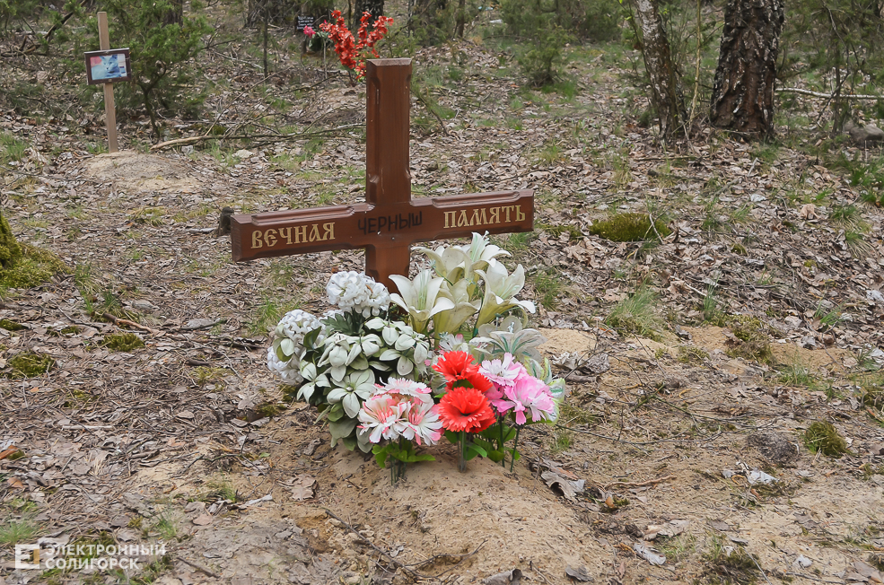 кладбище домашних животных