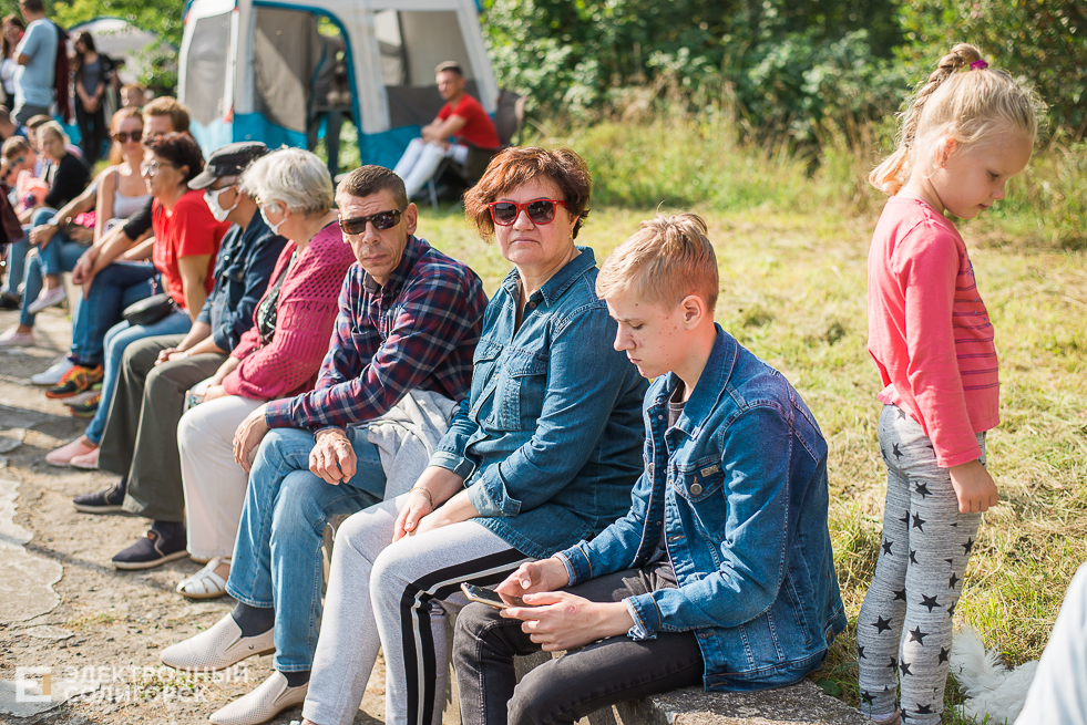 выставка собак