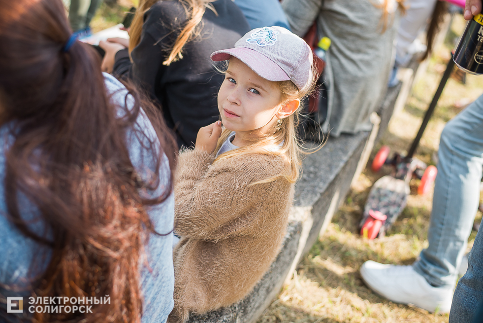 выставка собак