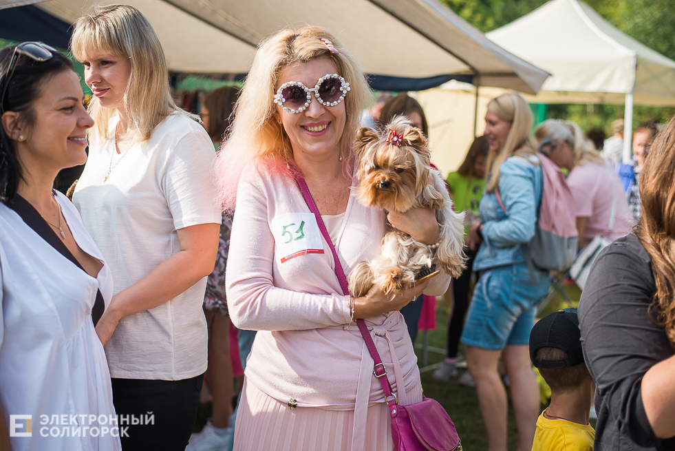 выставка собак