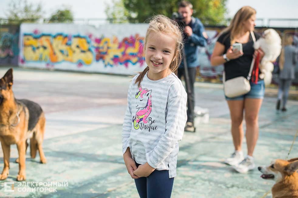 выставка собак