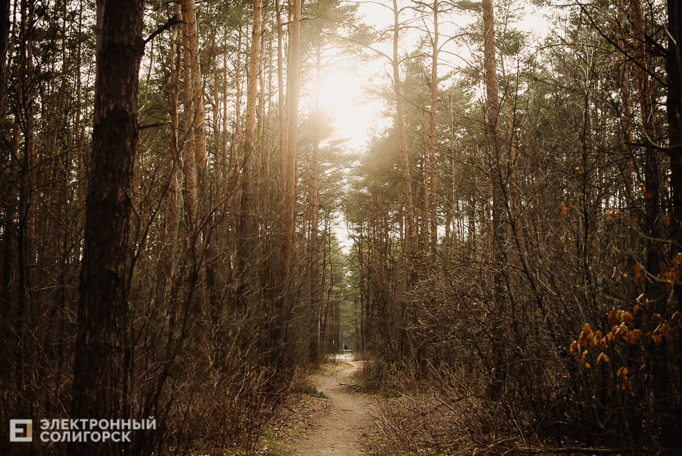 весенняя прогулка
