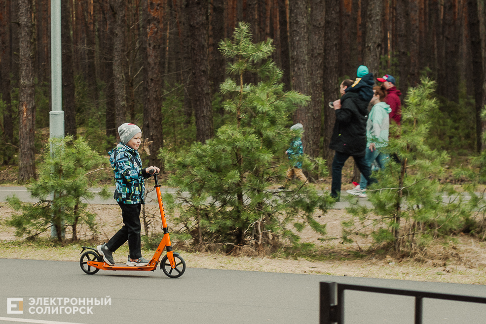 весенняя прогулка