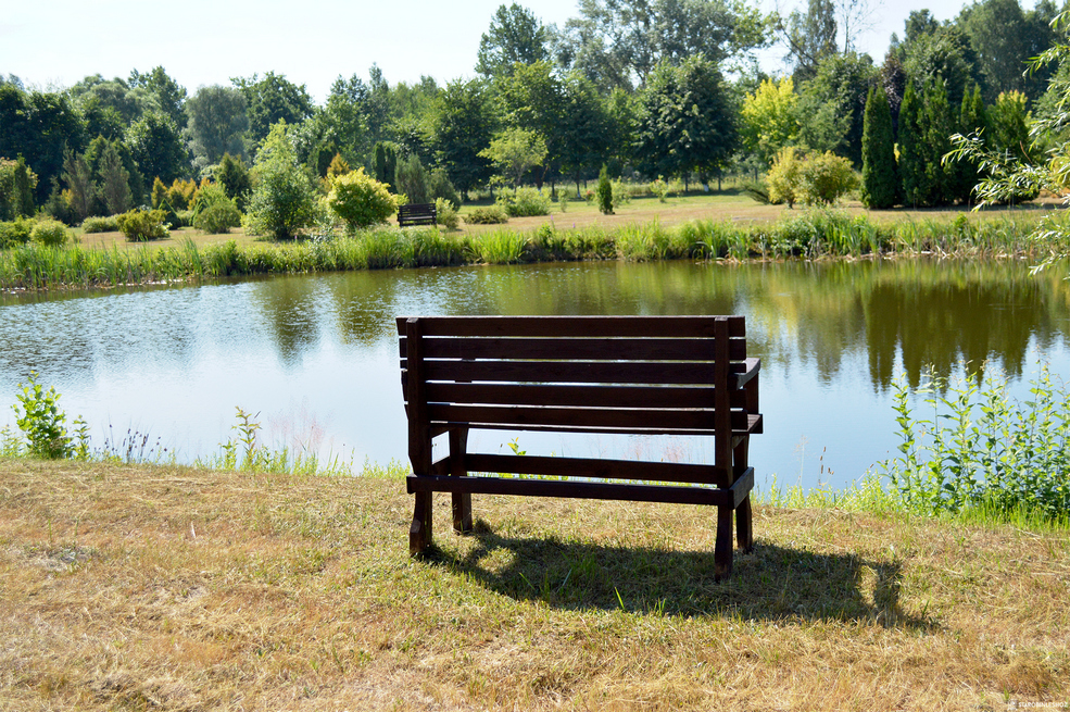 Дендропарк в Солигорском районе