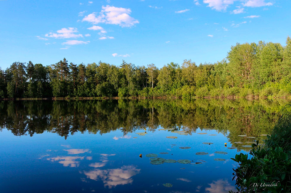 Святое озеро в Солигорском районе
