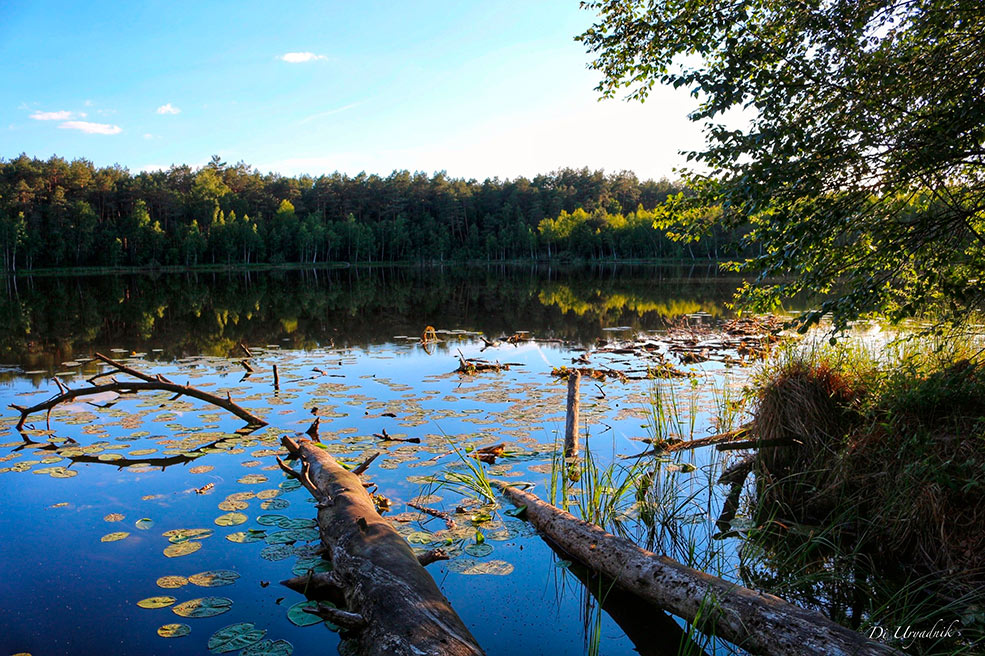 Святое озеро в Солигорском районе