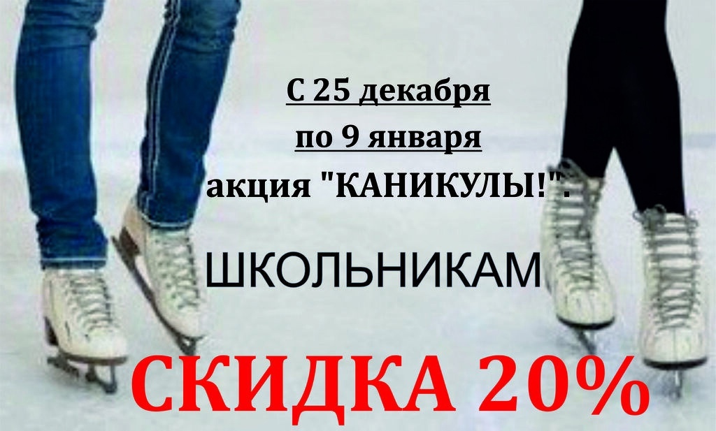 ледовик солигорск цены