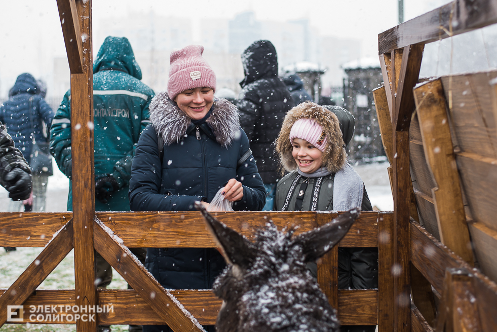 контактный зоопарк у собора