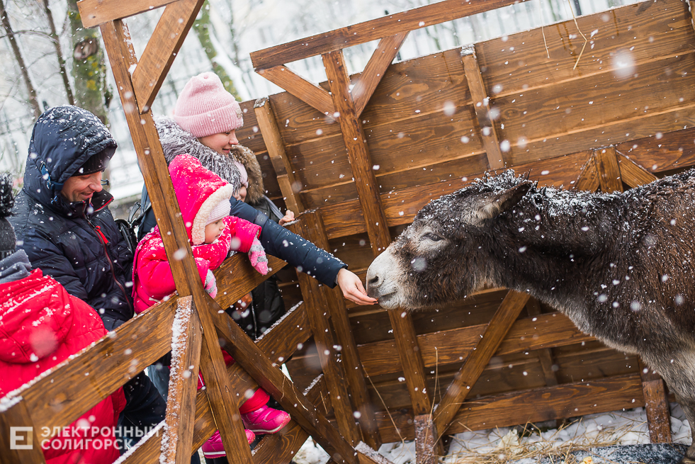 контактный зоопарк у собора