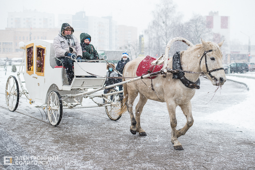 контактный зоопарк у собора