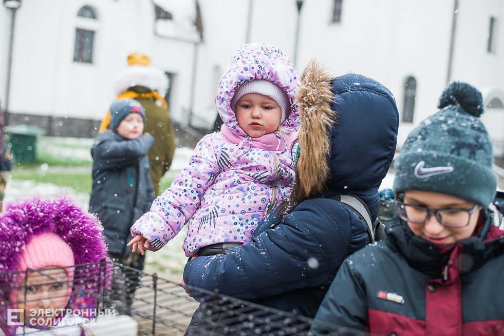 контактный зоопарк у собора