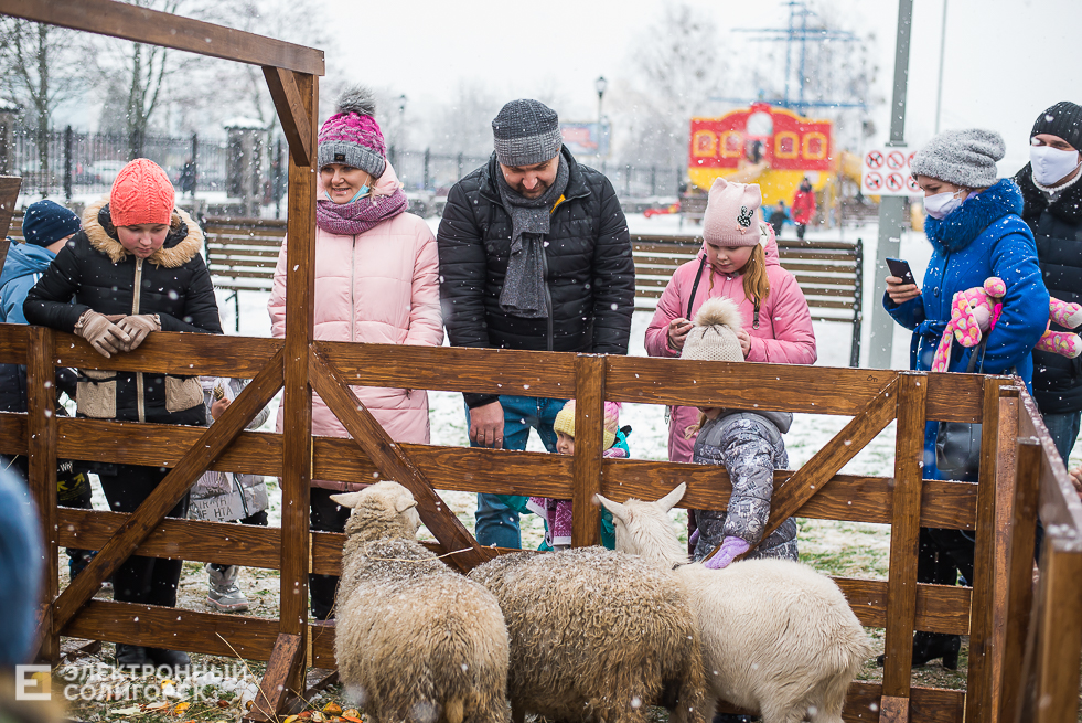 контактный зоопарк у собора