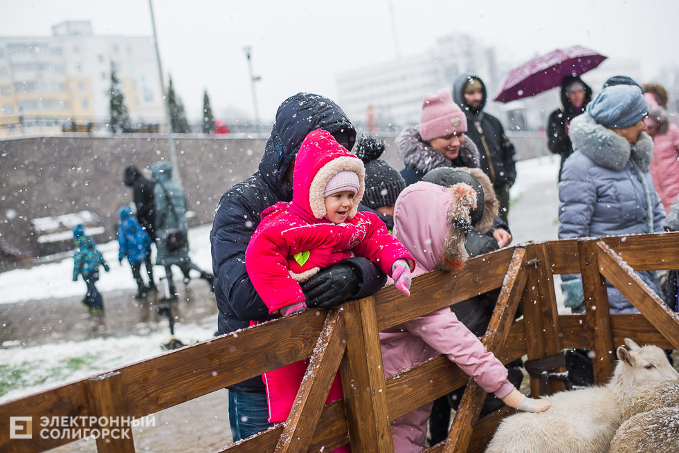контактный зоопарк у собора