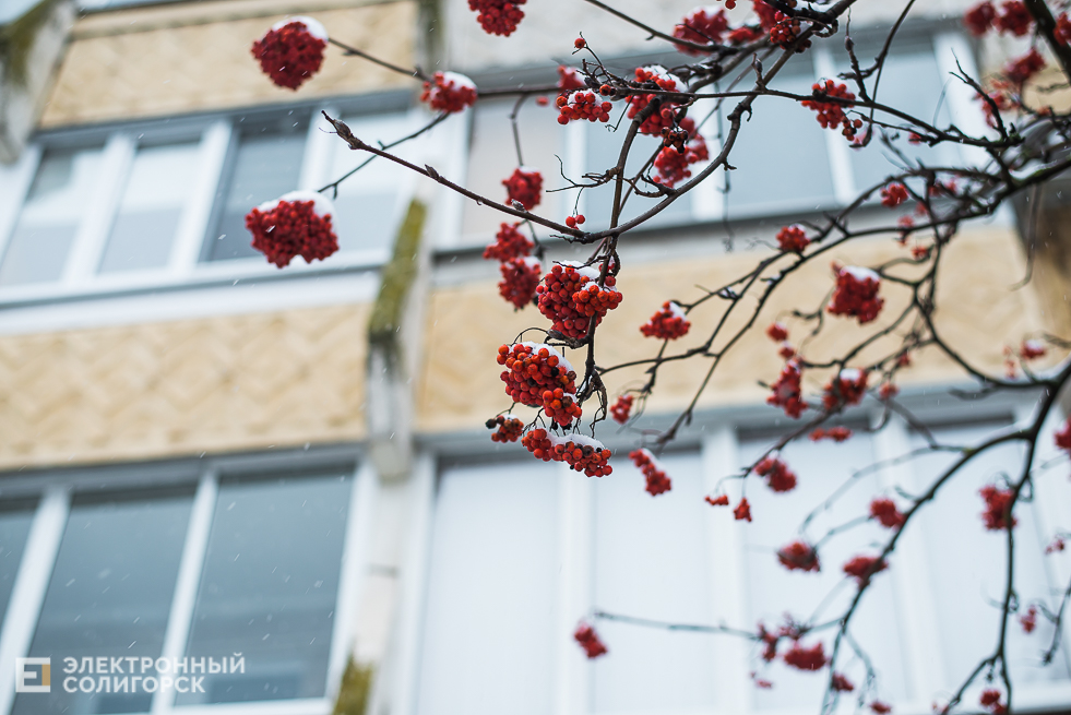 снежный город