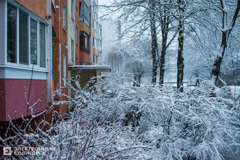 снежный город