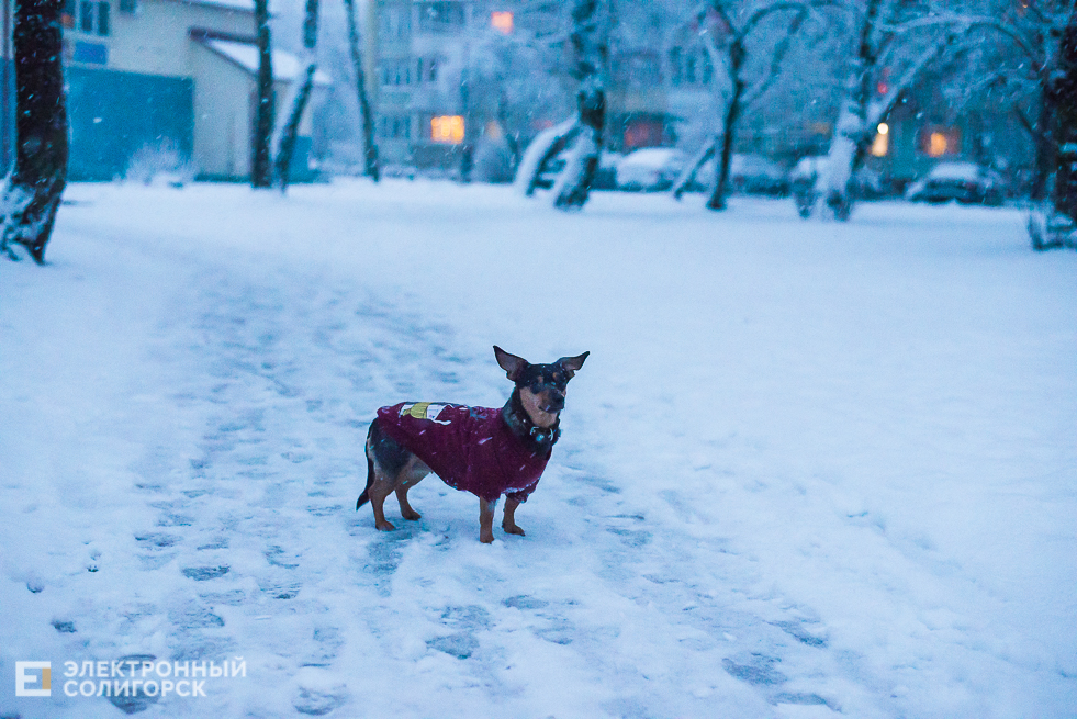 снежный город