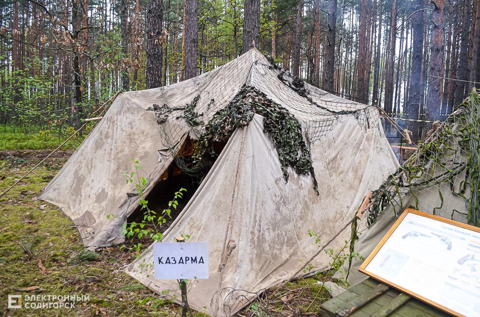 Krasnaya Gvozdika 35