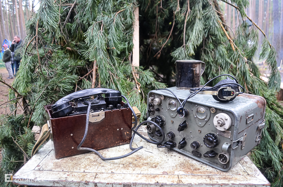 Krasnaya Gvozdika 37