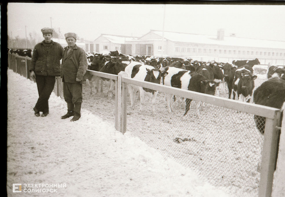 Les MPrakapovicz 0963