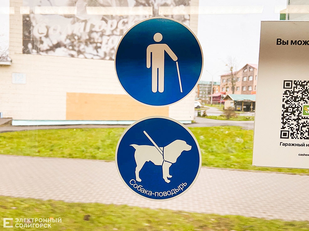 статистика о незрячих