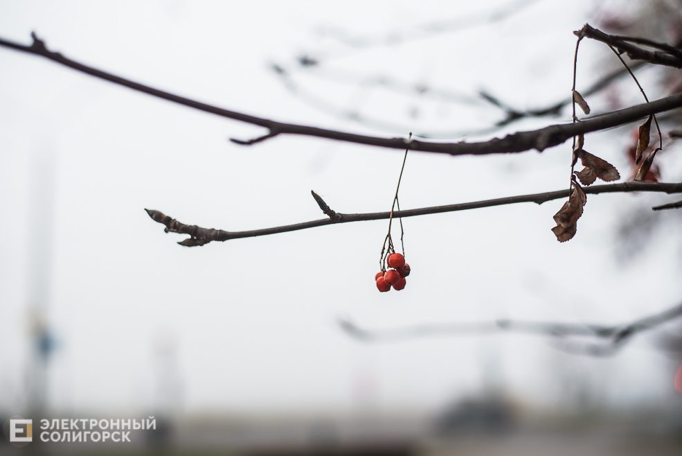 туман в солигорске