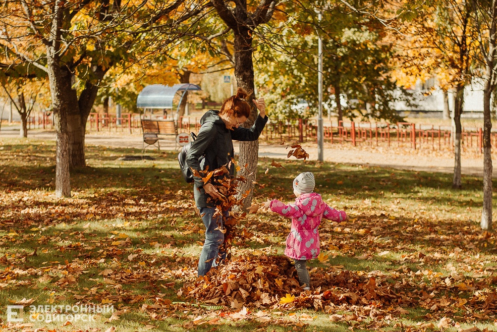 осень в парке
