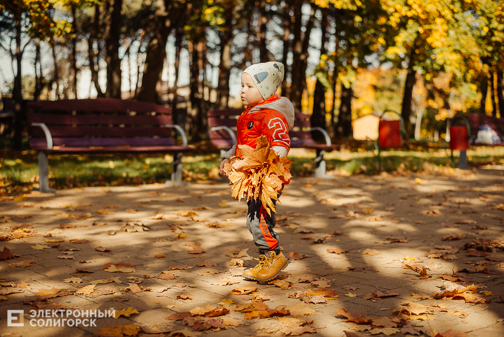 осень в парке