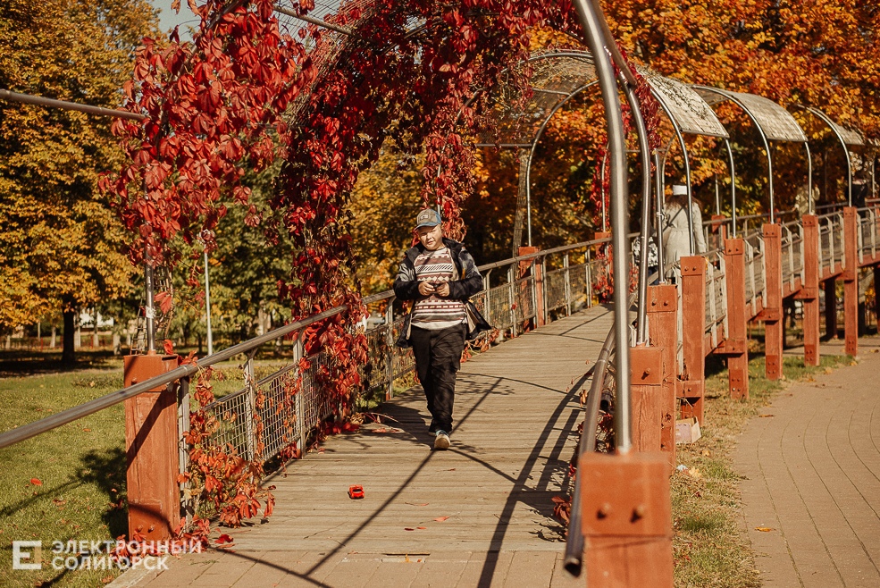 осень в парке