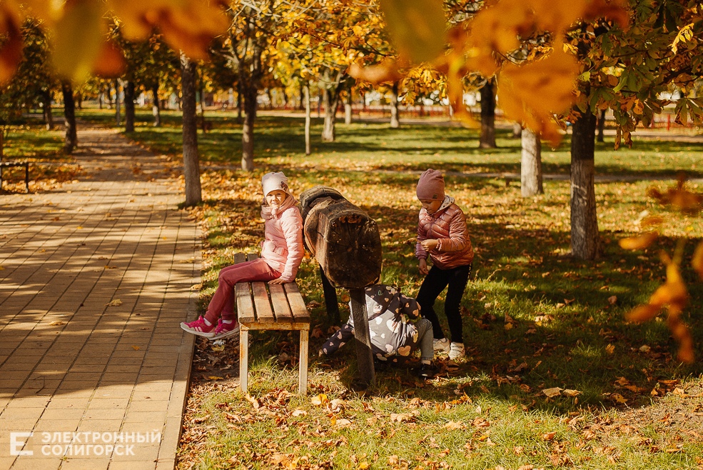 осень в парке