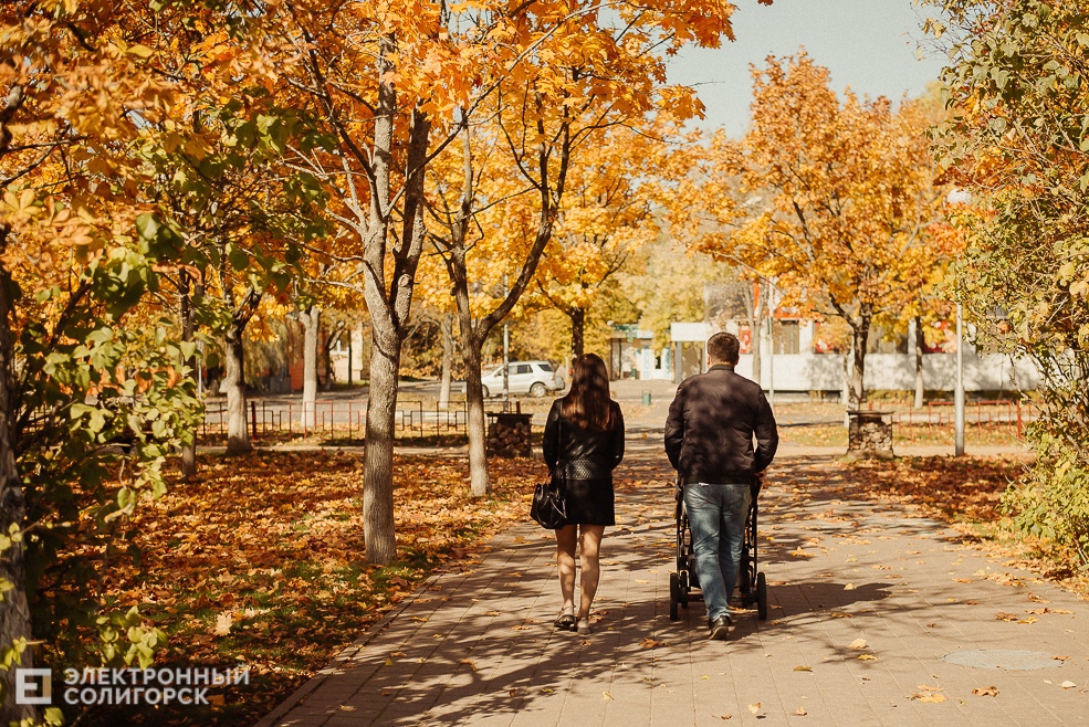 осень в парке