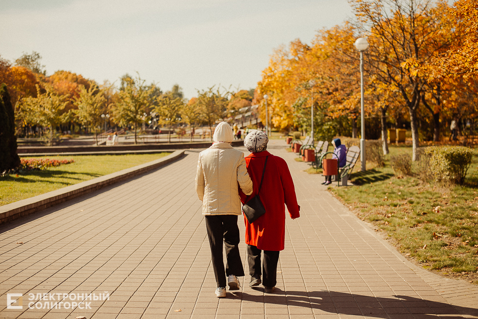 осень в парке