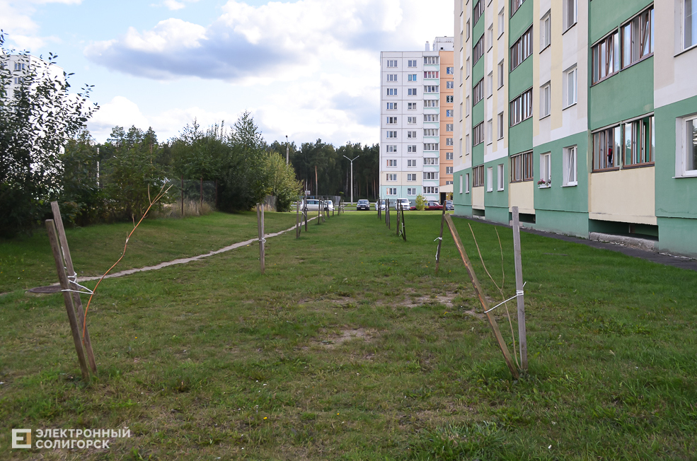 Soligorsk dvor 34