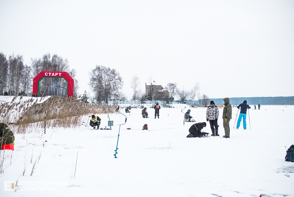 соревнования по ловле рыбы