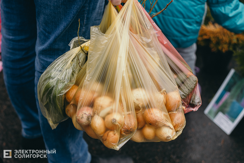 региональная ярмарка