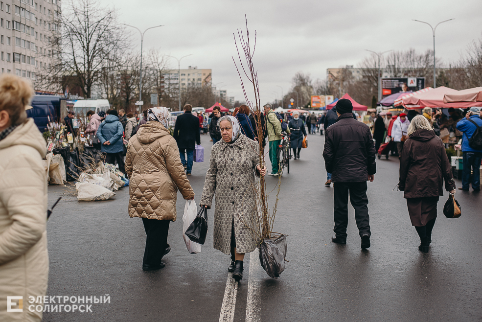 региональная ярмарка