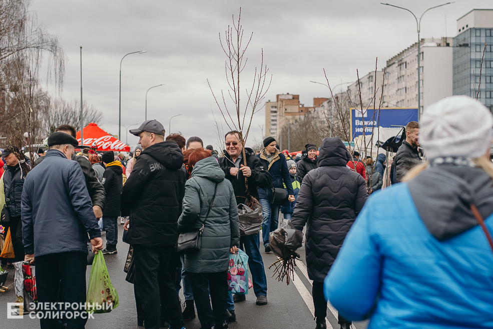 региональная ярмарка