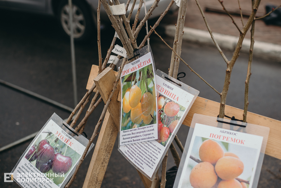 региональная ярмарка