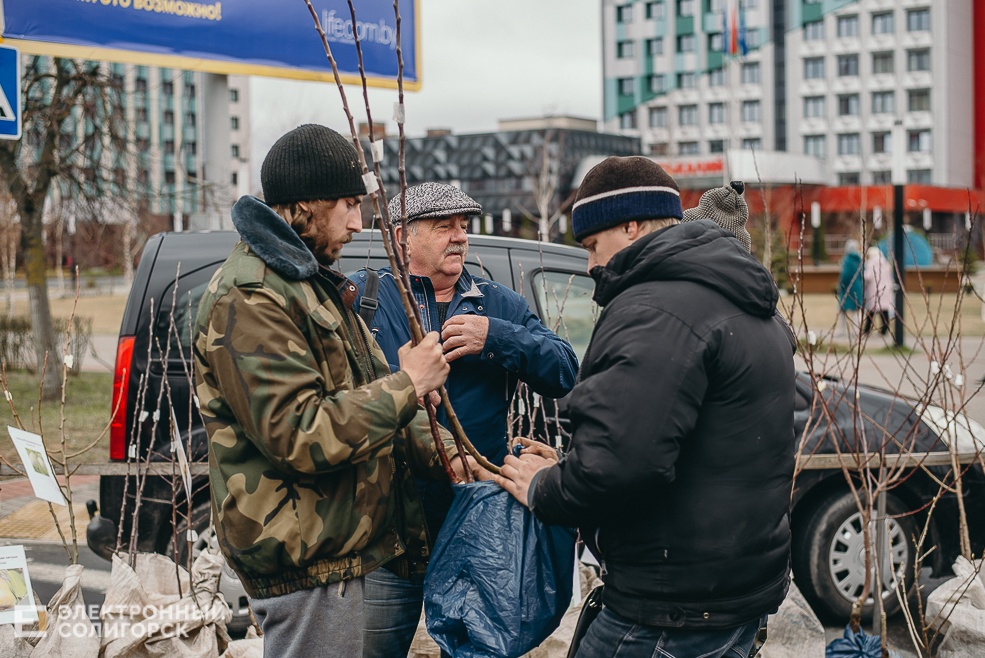 региональная ярмарка