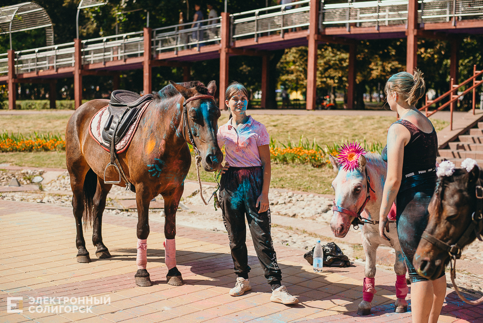 день города