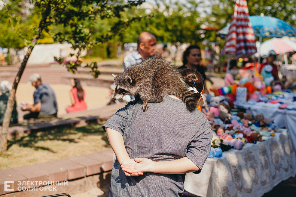 день города