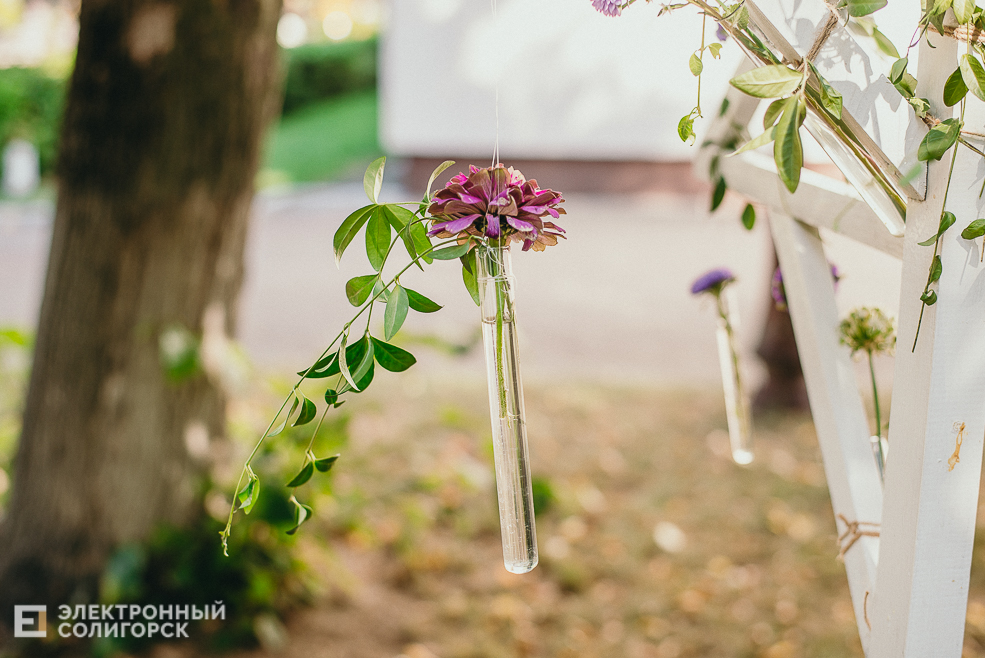 день города