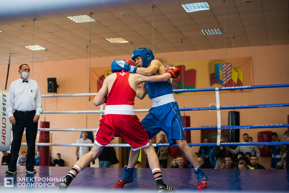 турнир по боксу