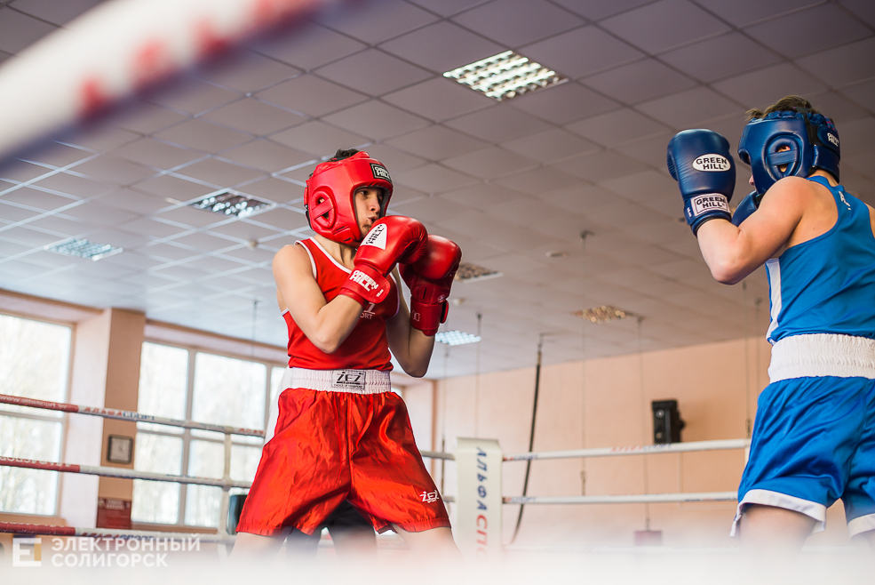 турнир по боксу