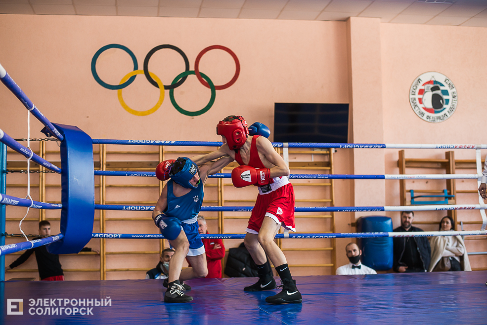 турнир по боксу