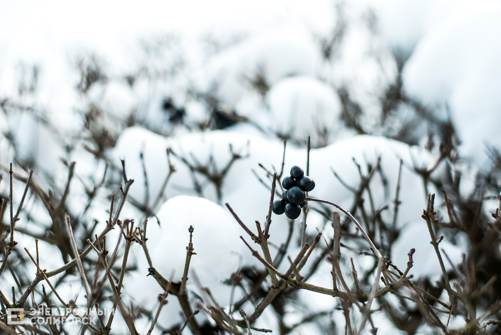 солнце и зима